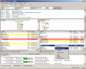 FileZilla for Windows - FTP client interface on Windows 11